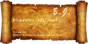 Blauhorn József névjegykártya